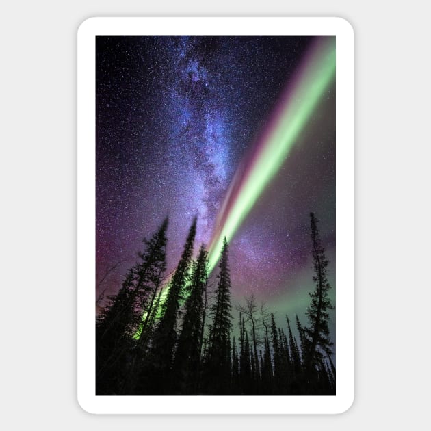 Milky way and the Aurora Borealis (C022/8448) Sticker by SciencePhoto